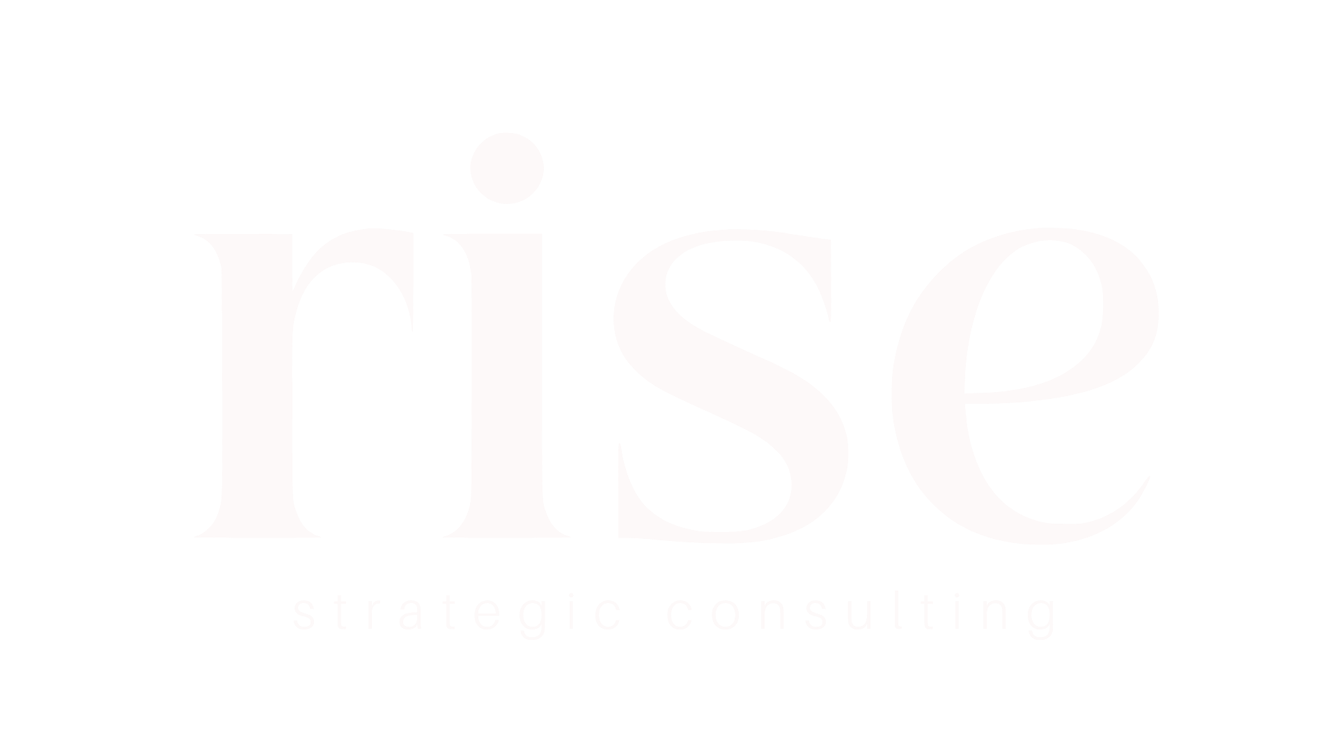 rise strategic consulting rise strategic consulting