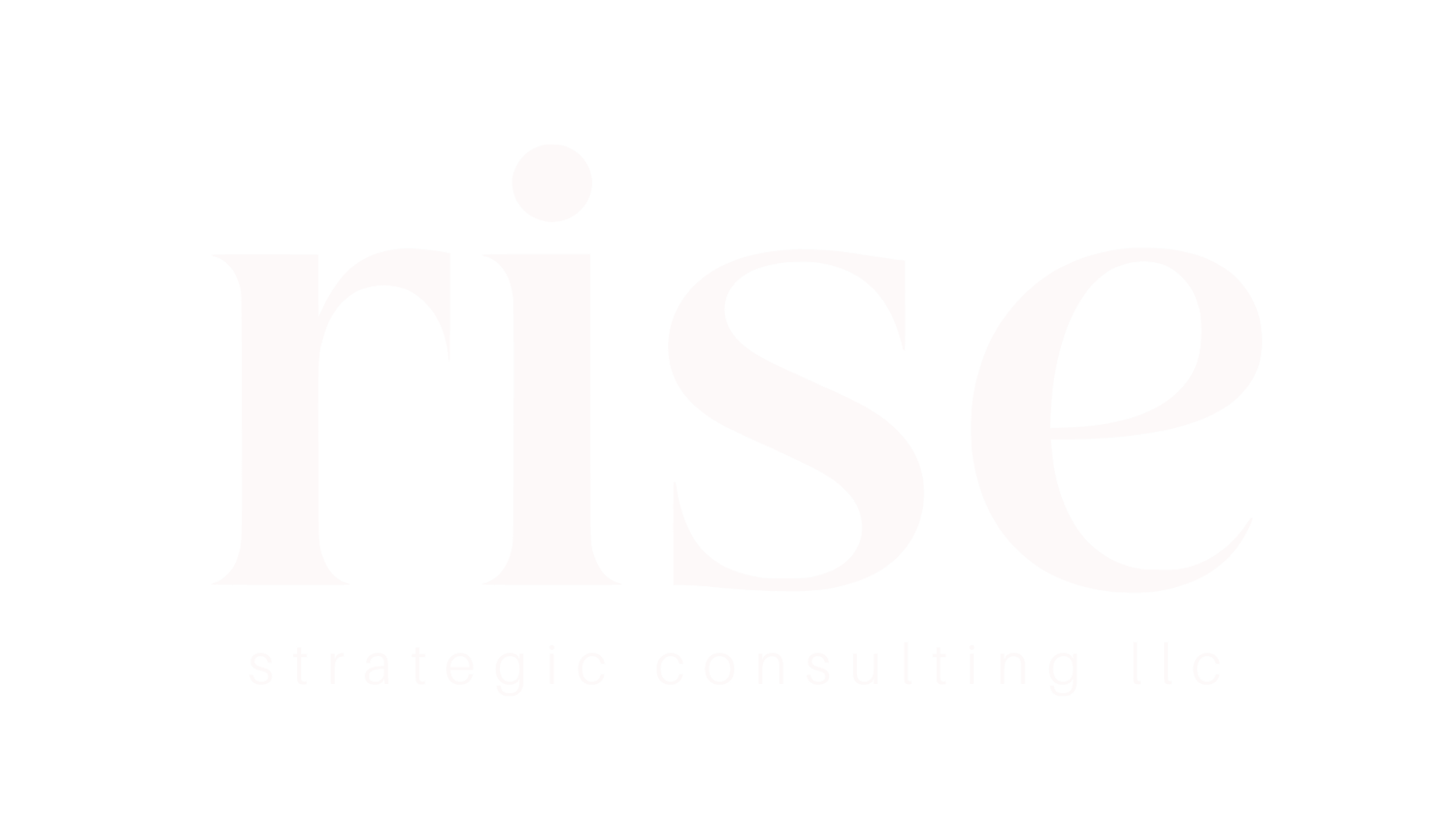 rise strategic consulting